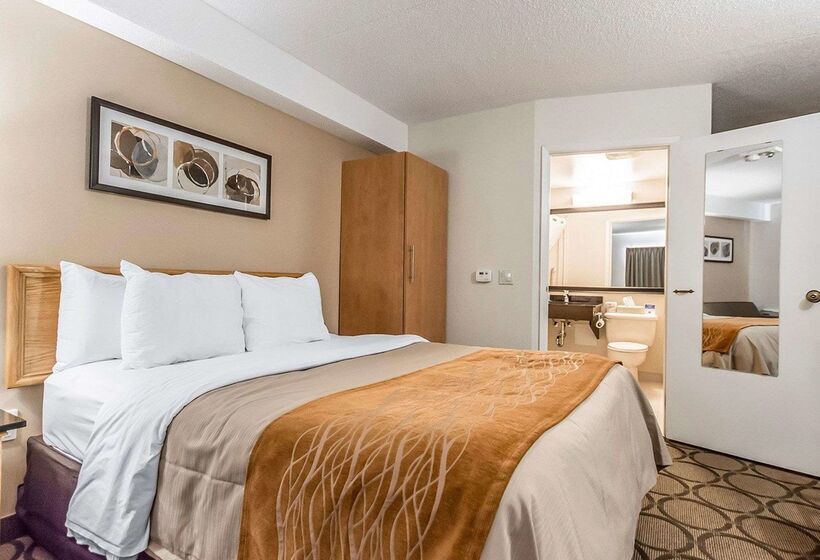 בית מלון כפרי Comfort Inn Riviereduloup