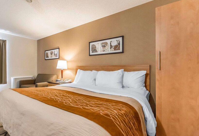 בית מלון כפרי Comfort Inn Riviereduloup