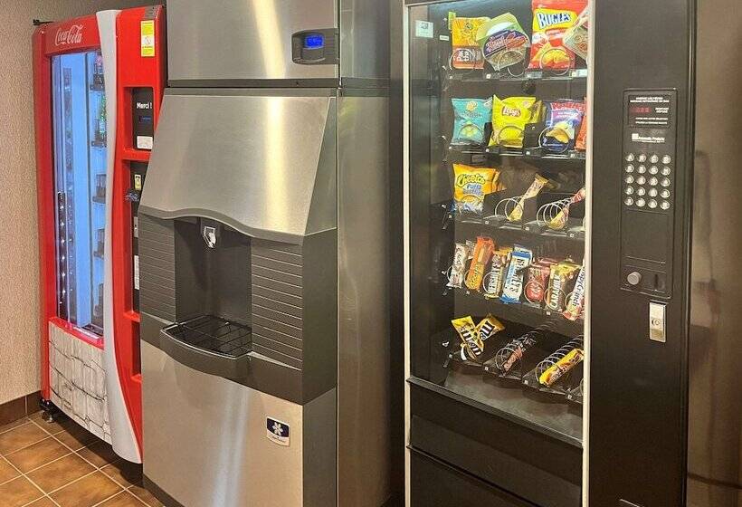 בית מלון כפרי Econo Lodge Airport Quebec