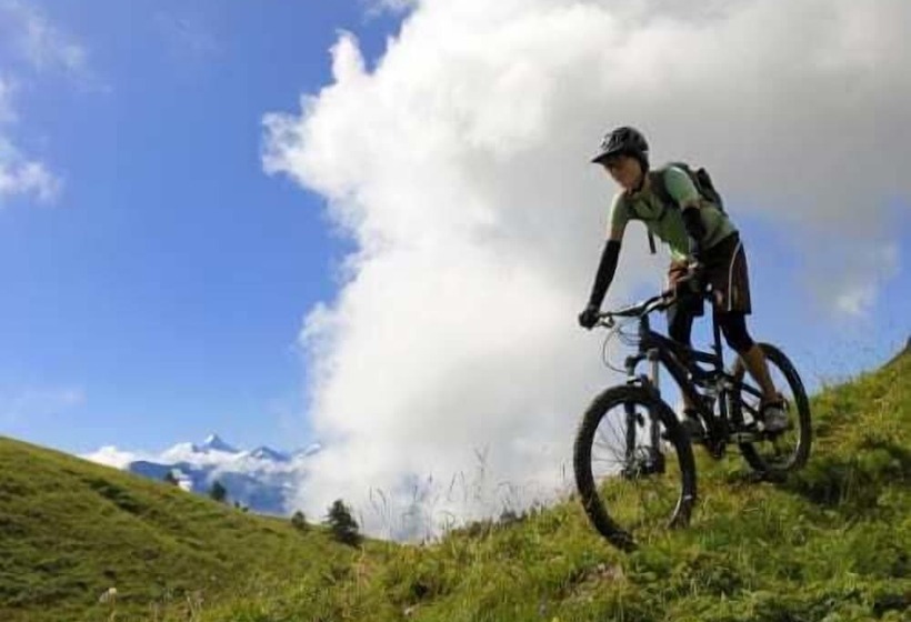 فندق Europe Brig