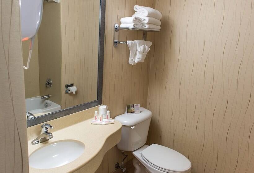 هتل Howard Johnson Plaza By Wyndham By The Falls Niagara Falls
