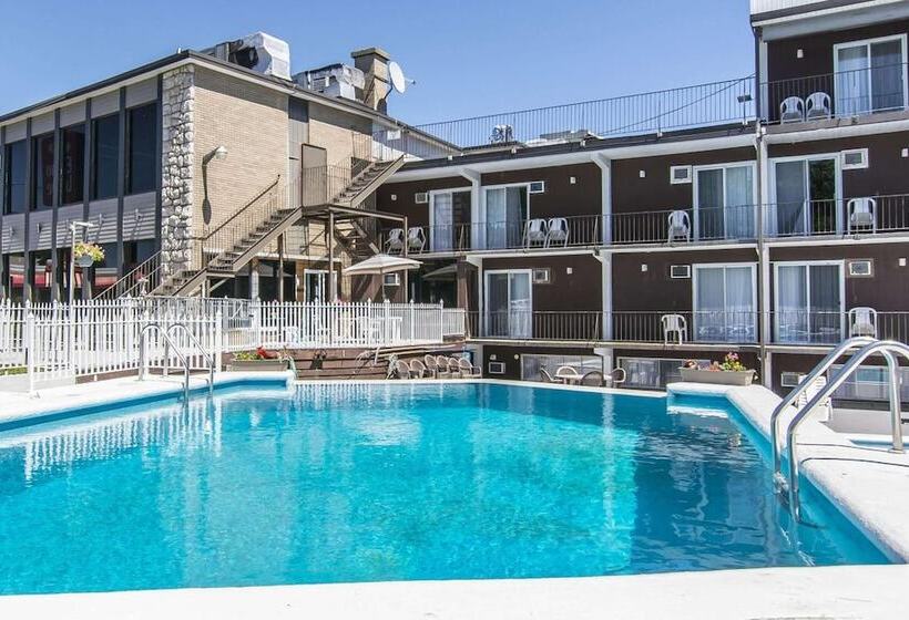 酒店 Hôtel Le Principal