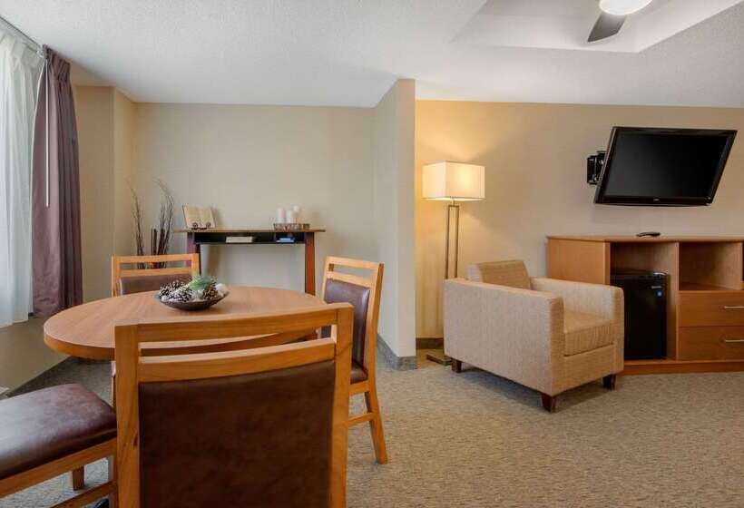 هتل Quality Inn & Conference Centre Downtown