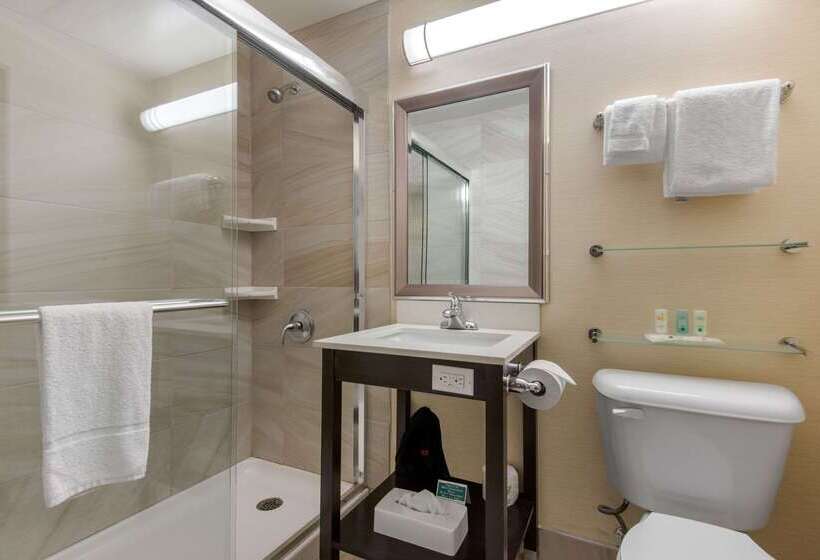 Hotel Quality Inn & Conference Centre Downtown