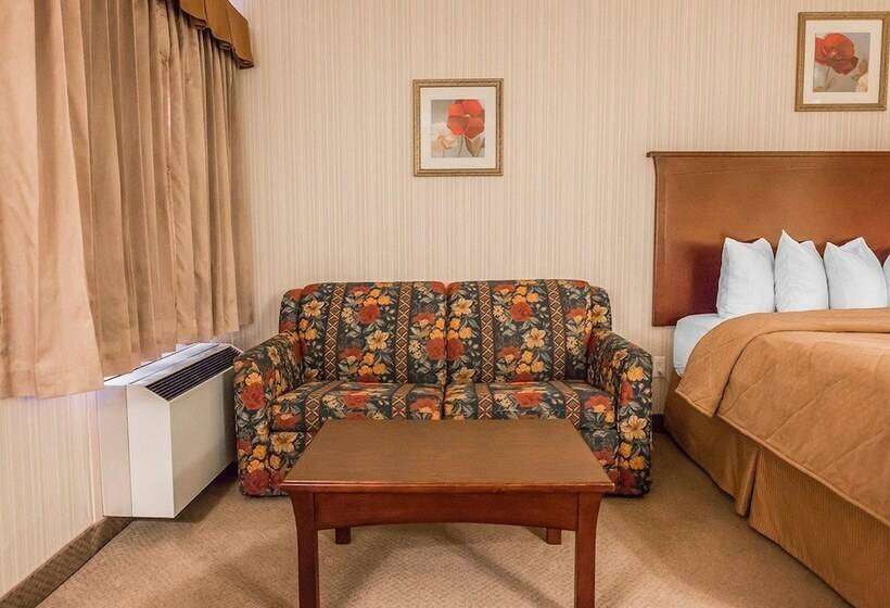 هتل Quality Inn & Conference Centre