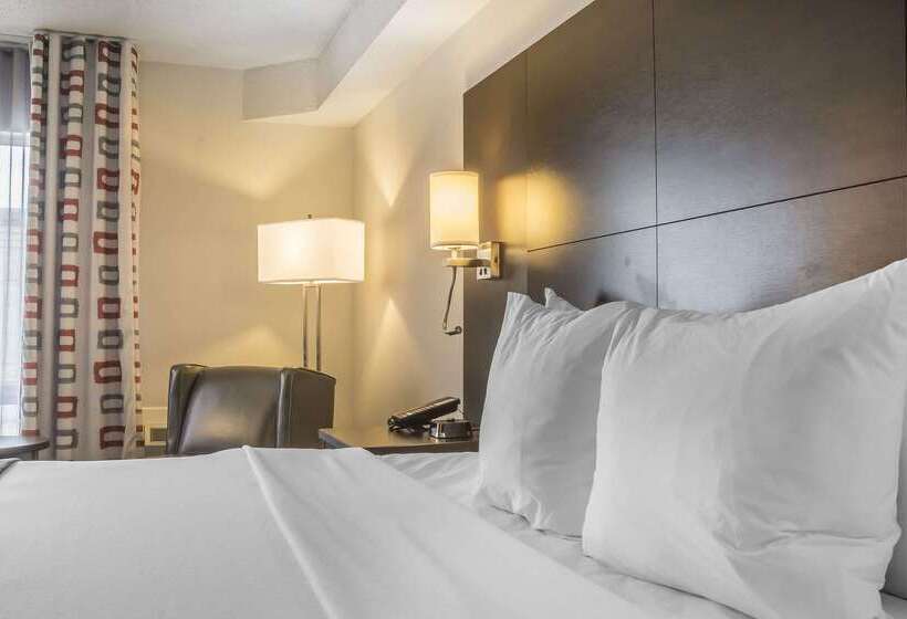Отель Quality Inn