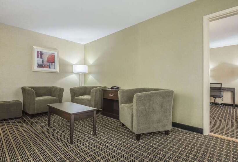 هتل Quality Inn & Suites Downtown