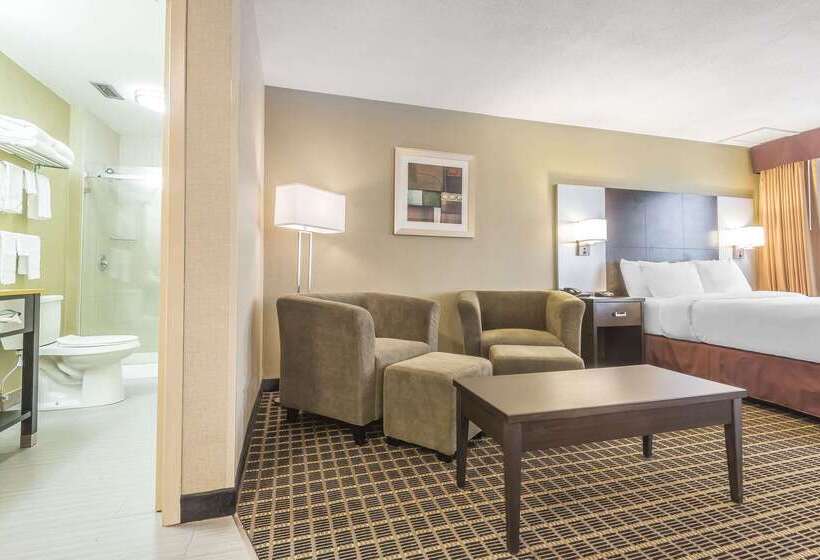 هتل Quality Inn & Suites Downtown
