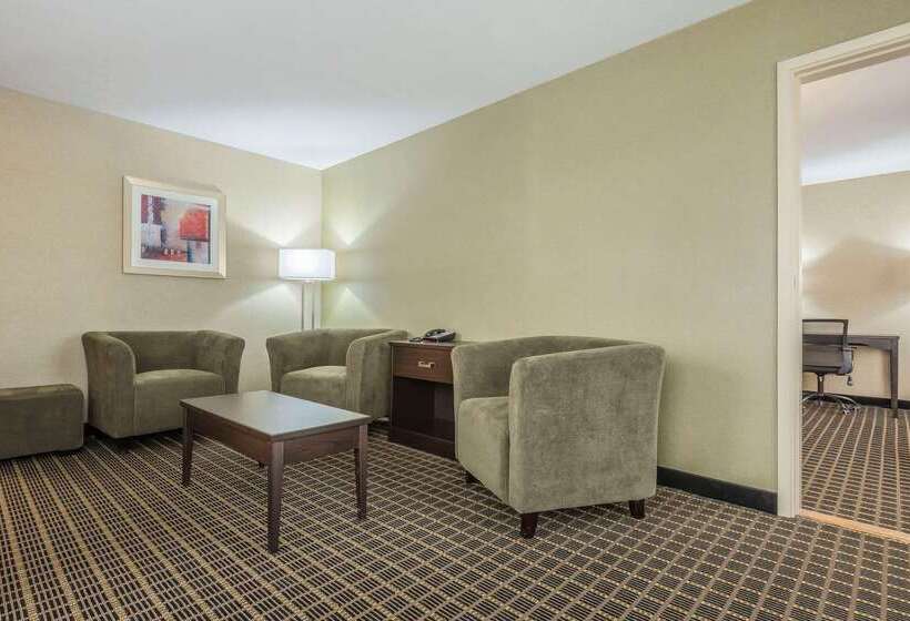 هتل Quality Inn & Suites Downtown