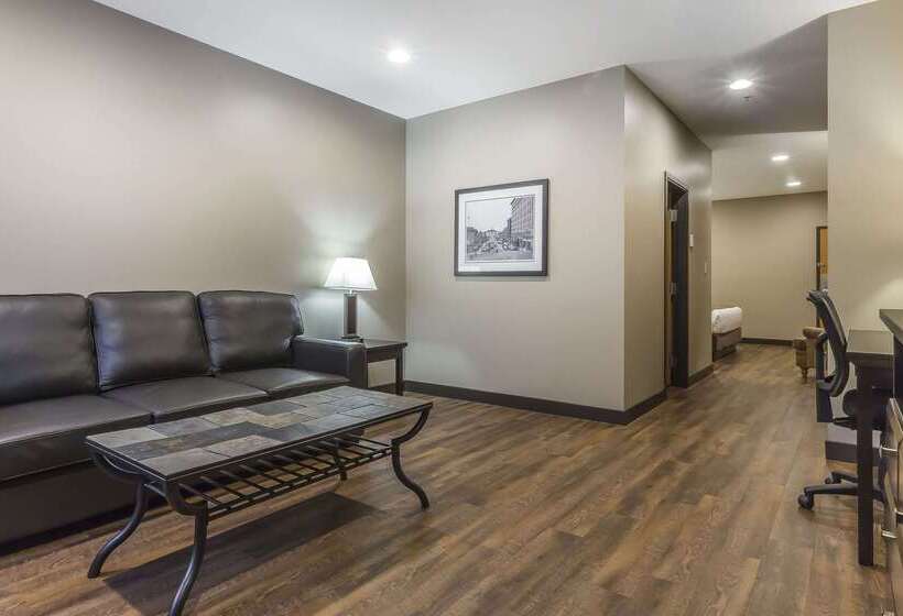 هتل Quality Inn & Suites