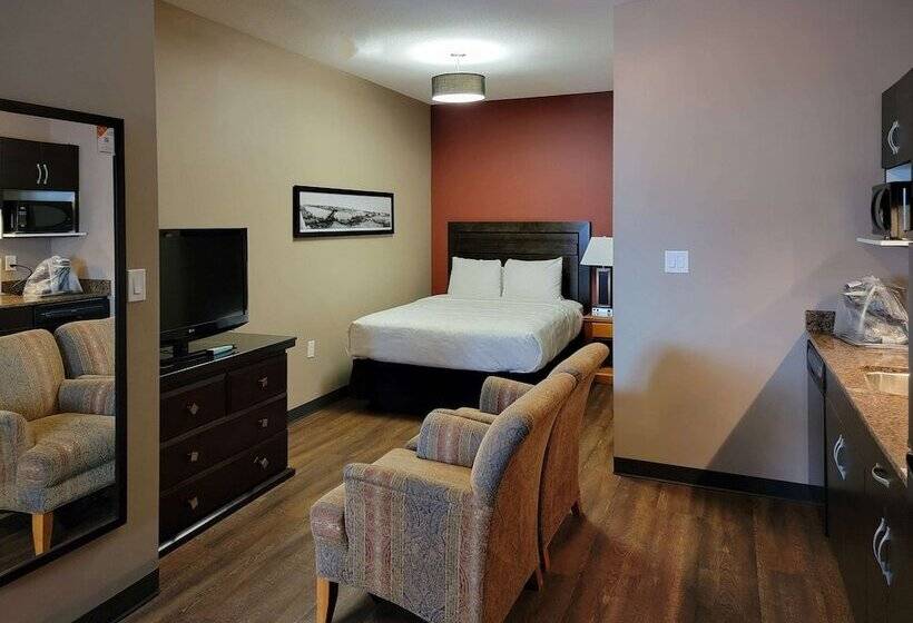 هتل Quality Inn & Suites