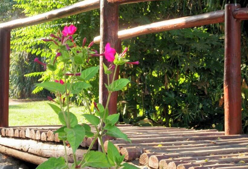 Hotel El Copihue Olmué