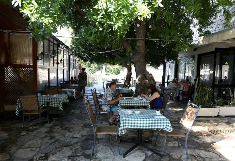 هتل Dionysos Central