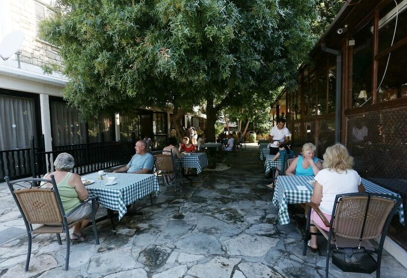 هتل Dionysos Central