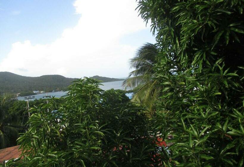 هتل Flemming Tree