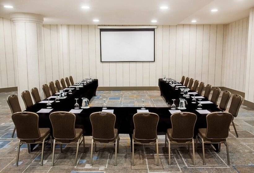 هتل Le Méridien Santiago By Marriott