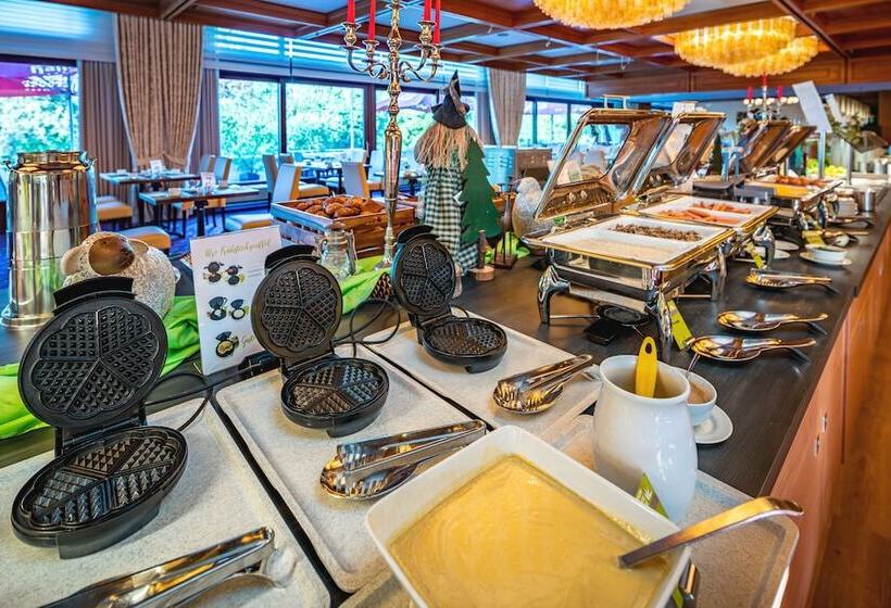 Ahorn Harz Hotel Braunlage