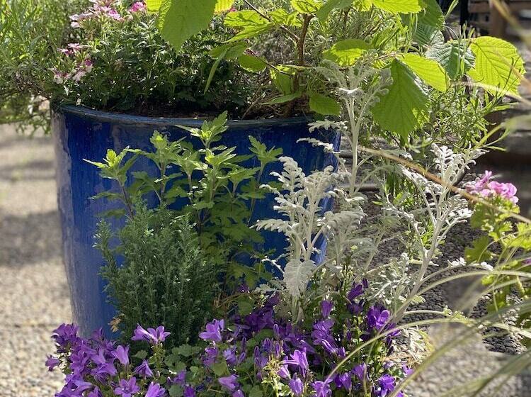 هتل Cascade Superior