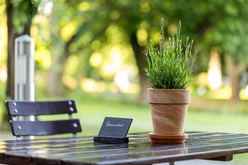 هتل Sheraton Essen