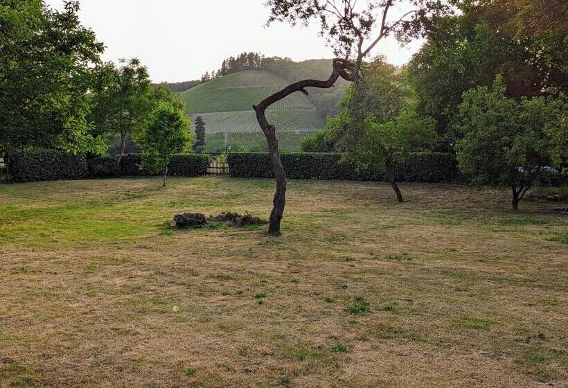 酒店 Und Weingut Karlsmühle