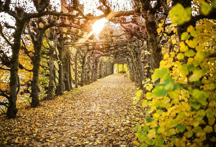 בית מלון כפרי Dorint Resort & Spa Bad Brückenau