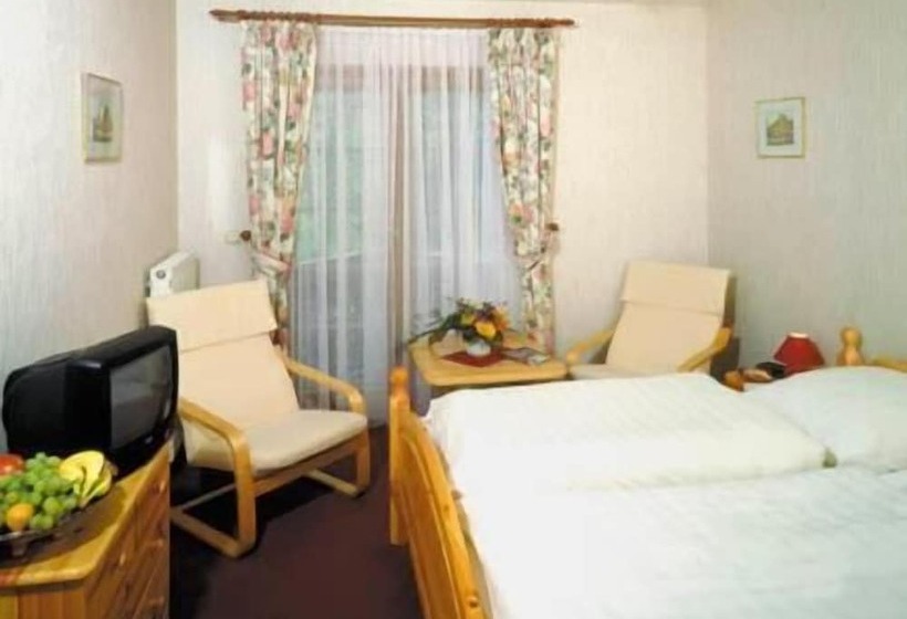 酒店 Hostel Zum Löwen