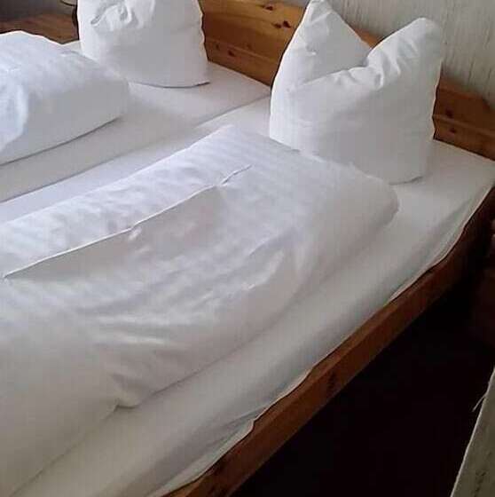 酒店 Hostel Zum Löwen