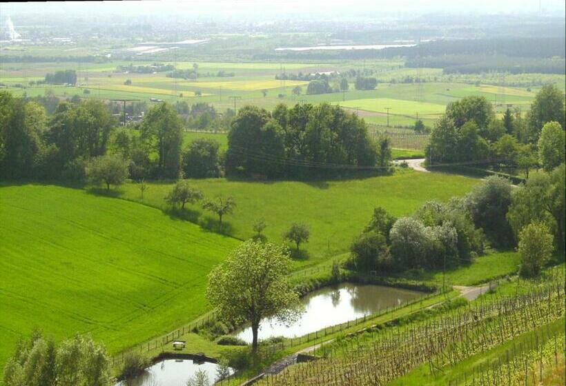 酒店 Panorama  Und Restaurant Schloßberg