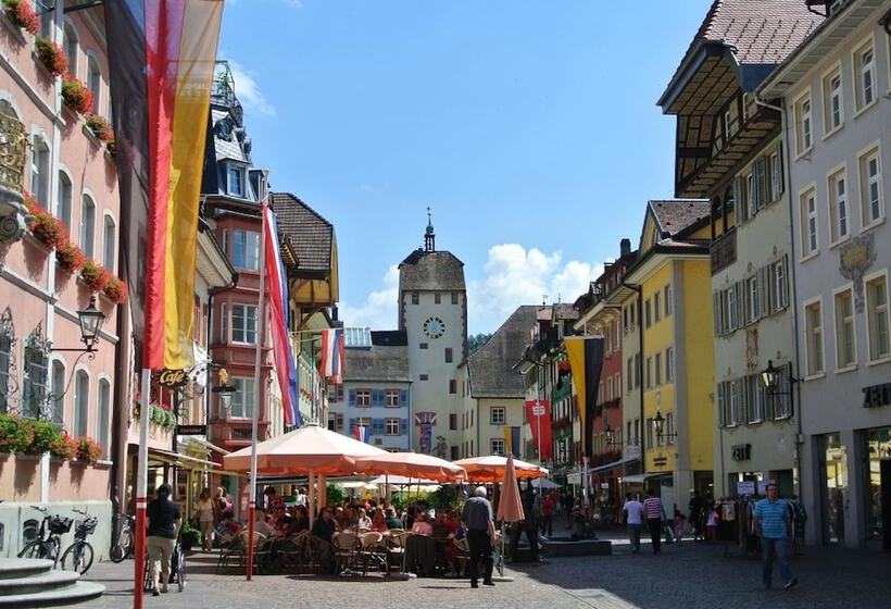 Отель Waldshuter Hof