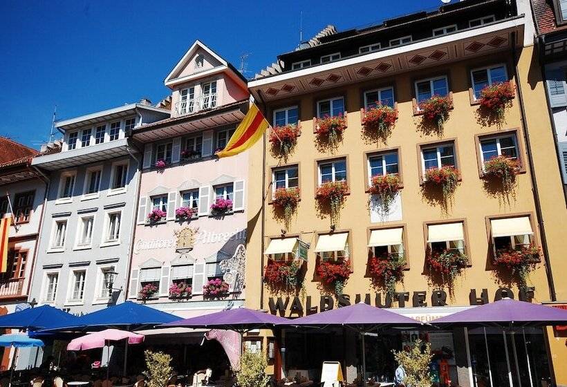 Отель Waldshuter Hof