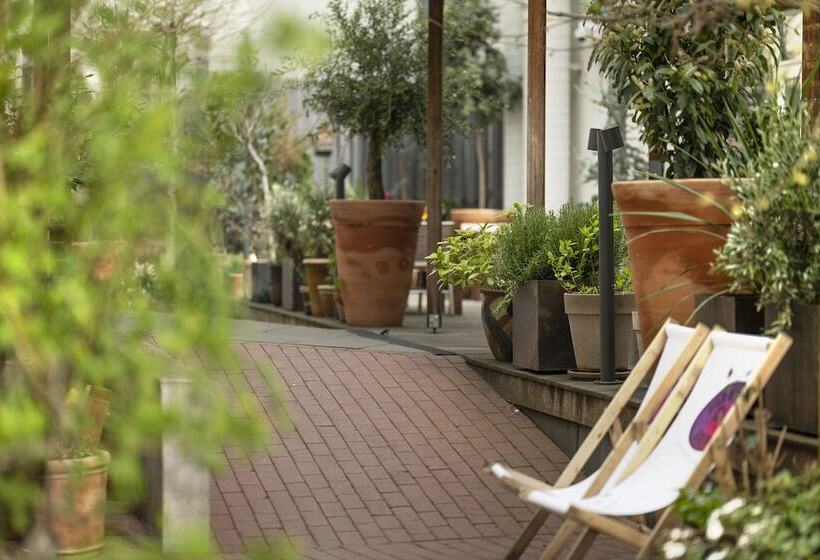 בית מלון כפרי Mayfair