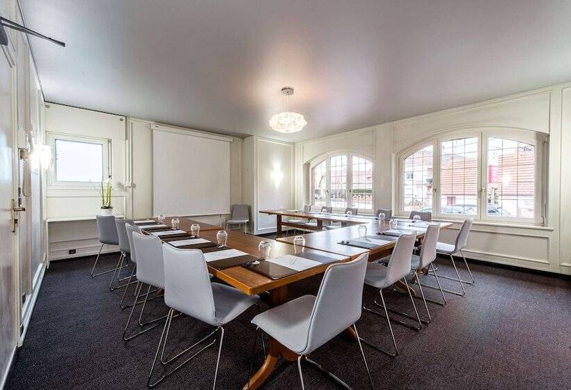 فندق Best Western Plus Au Cheval Blanc à Mulhouse