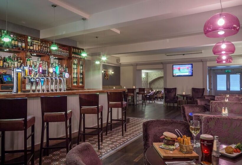 酒店 County Arms  Birr