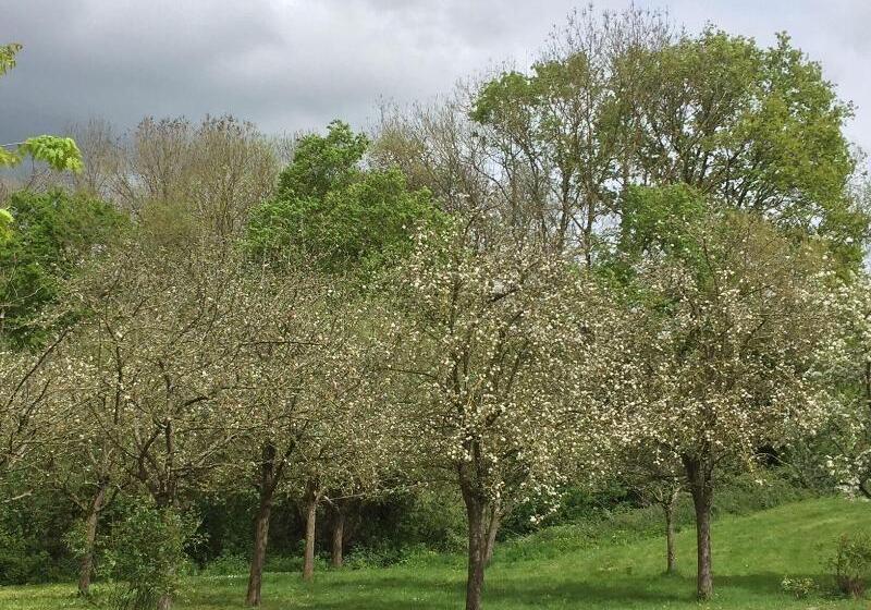 فندق Logis Hôtel Le Manoir Des Portes