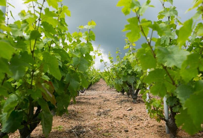 호텔 Chateau De Pizay