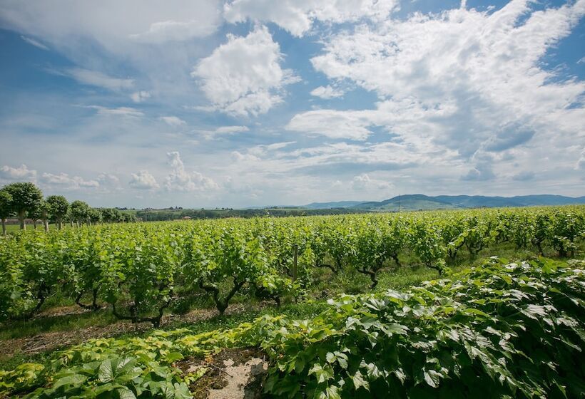 호텔 Chateau De Pizay