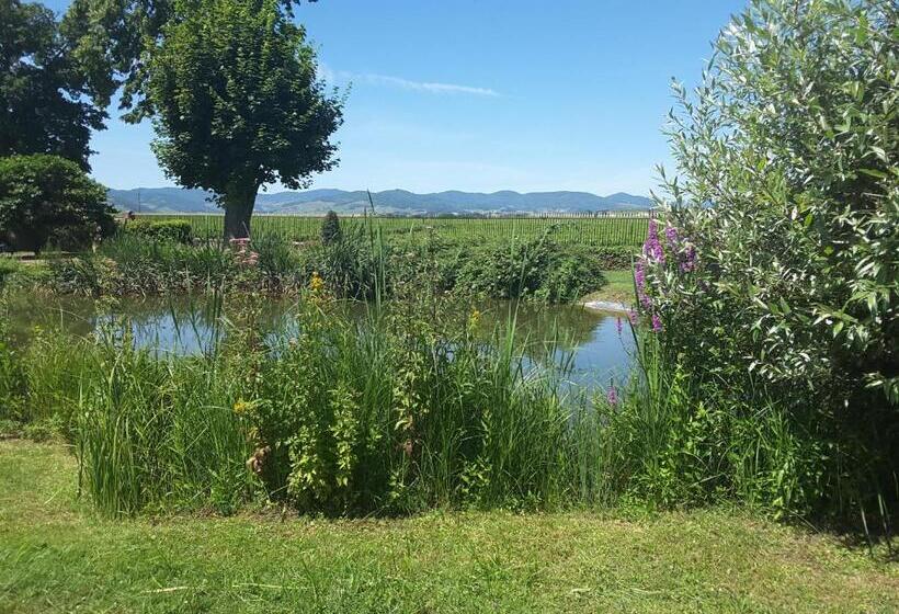 호텔 Chateau De Pizay