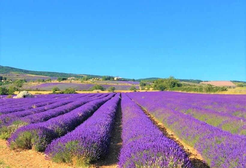 호텔 Domaine Du Val De Sault