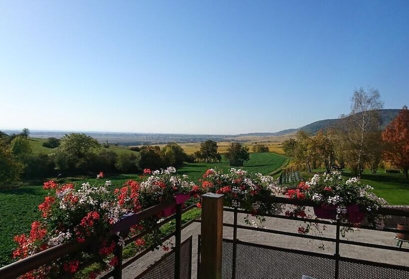 בית מלון כפרי Hôtel Du Bollenberg   Restaurant Côté Plaine   Spa De La Colline