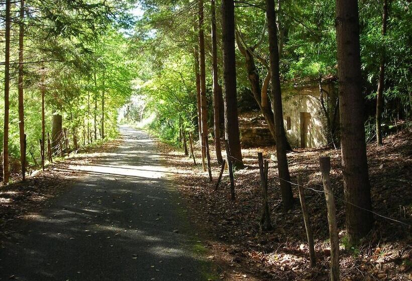 酒店 Logis Hôtel Restaurant Belle Rive