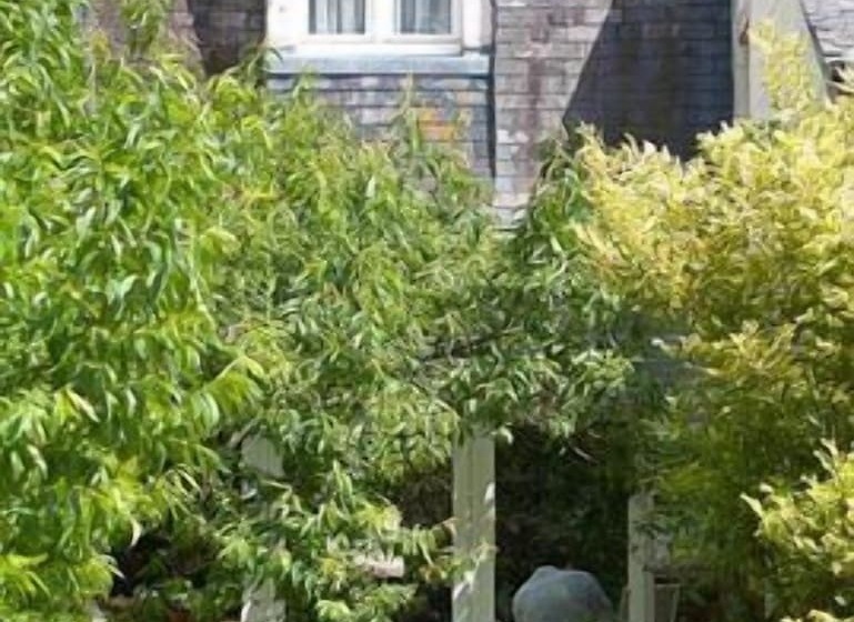 Отель Hostellerie Les Hauts De Sainte Maure