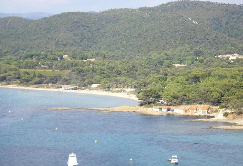ホテル Hôtel Les Palmiers