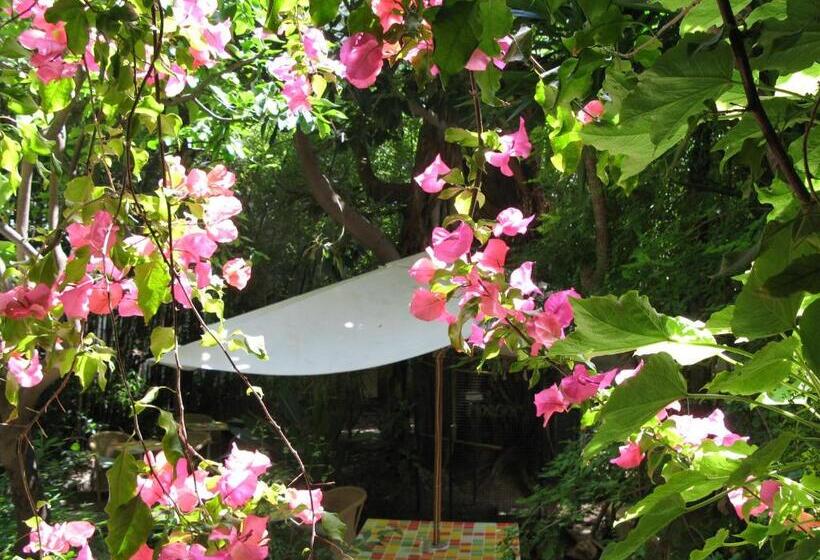 هتل Le Windsor, Jungle Art