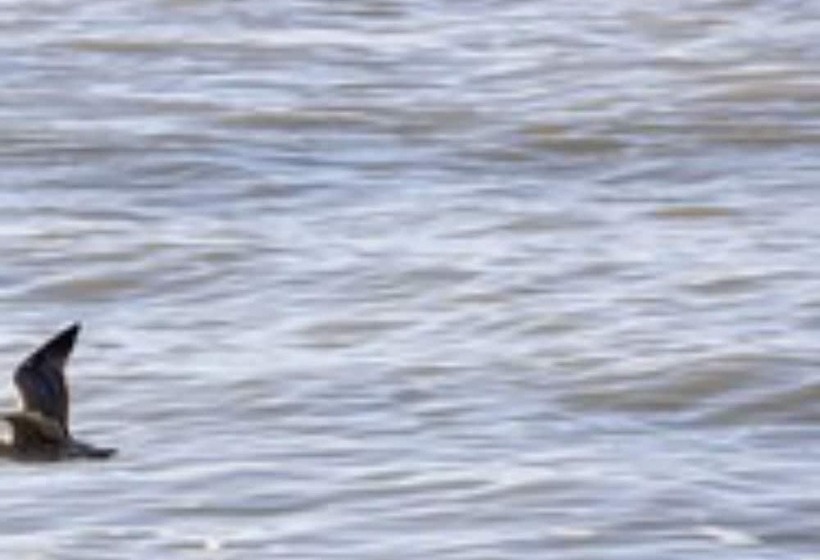 فندق The Relais Cooden Beach