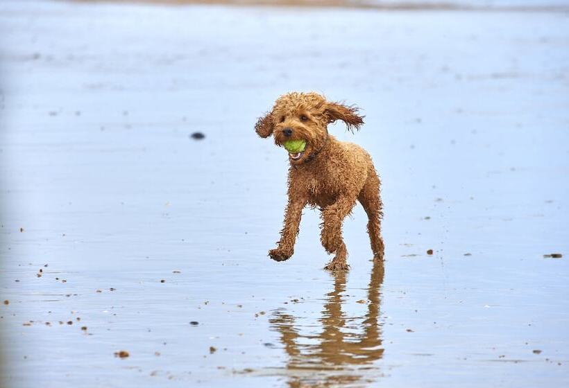 فندق The Relais Cooden Beach