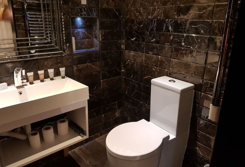 هتل Duke Of Leinster