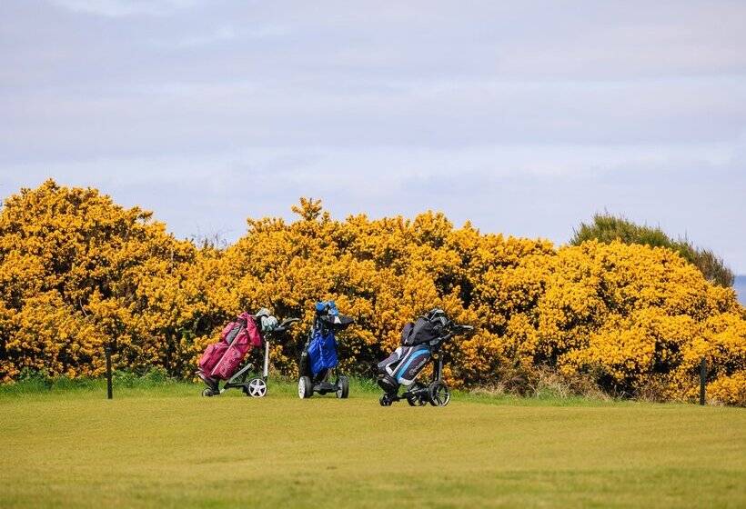 Отель Muthu Newton