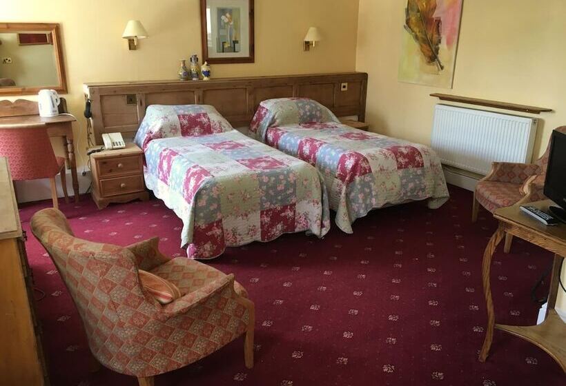 فندق The Wynnstay