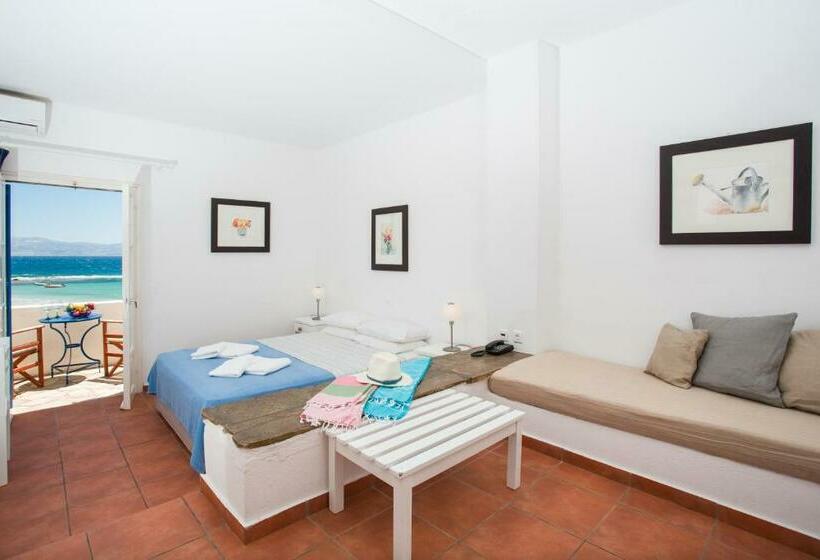 فندق Paros Philoxenia