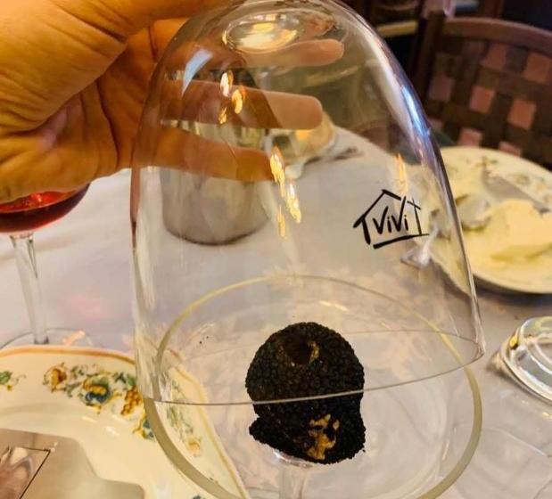 فندق Aquila & Edelweiss